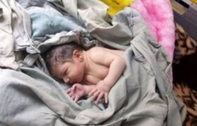 تعداد نوزادان رها شده در ۵ ماه امسال به ۹ نفر افزایش یافت